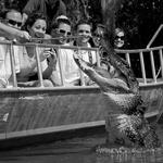 Swamp Tour