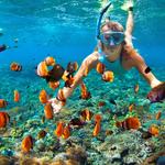 Snorkeling around Kihei (Saturday 7/30 @ 10:00am - 12:00pm) (with Kevin)