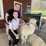 Bluebird Farm Alpacas