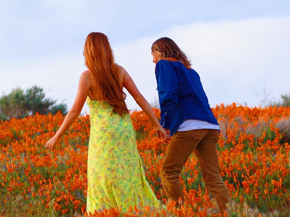 The Wedding Website of Logan Leann Bradley and Jaden Reed Elmore