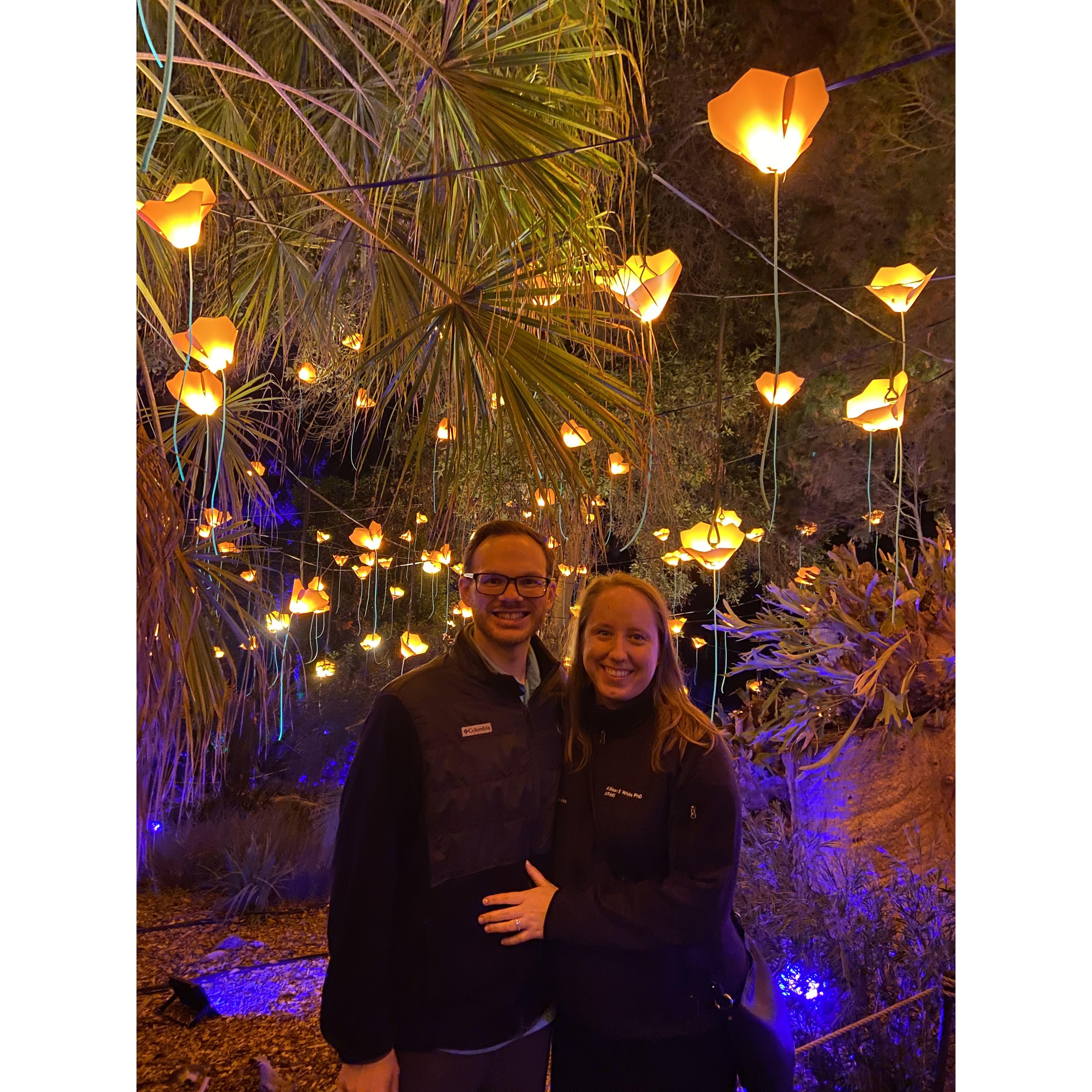 Lightscape - San Diego Botanic Garden