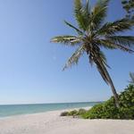 Bonita Beach