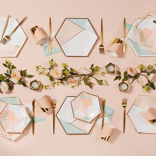 Desert Rose Partyware Set