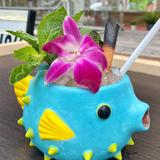 Pufferfish Rooftop Tiki Bar
