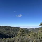 Cloudcroft