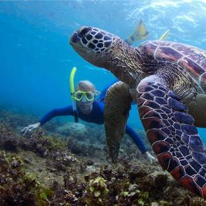 Snorkeling in Hawaii!