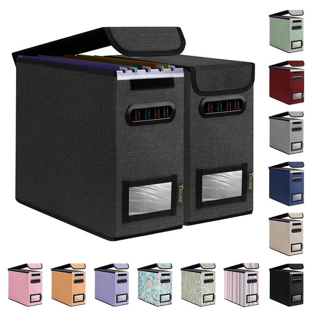 BALEINE File Organizer Box with Lid, Collapsible File Folder Organizer with Plastic Slide, Hanging File Folder Box for Office Document Storage (2 Pack, Black, S)