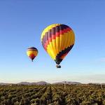 California Dreamin' Balloon Adventures