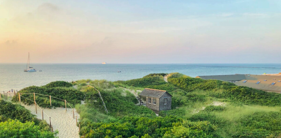 The Wedding Website of Abriel Markowitz and Nathaniel Hymson