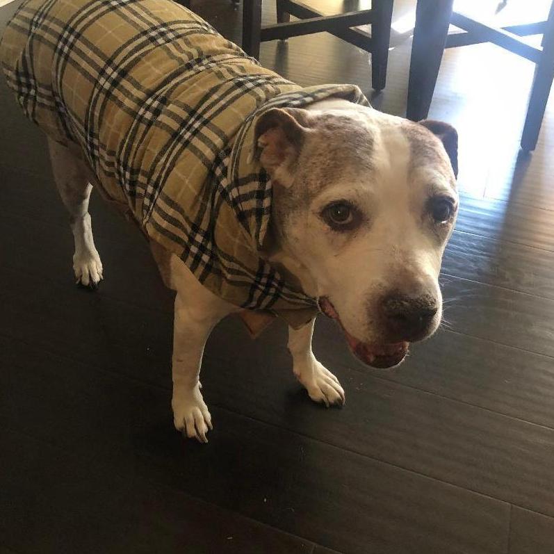 But really... who can rock a jacket better than that?