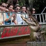 Cajun Pride Swamp Tours