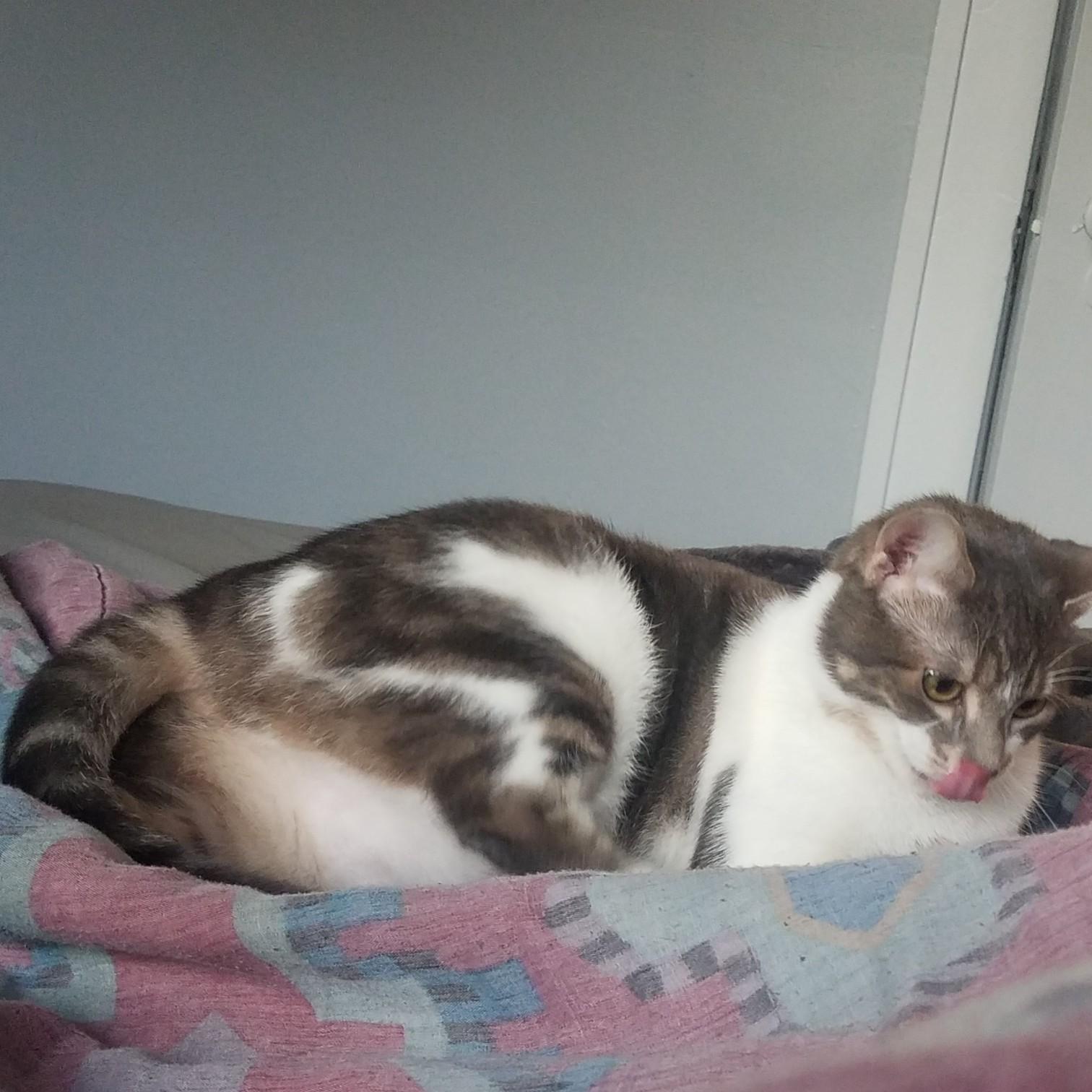 Our scaredy-cat Gem, 2nd eldest child
