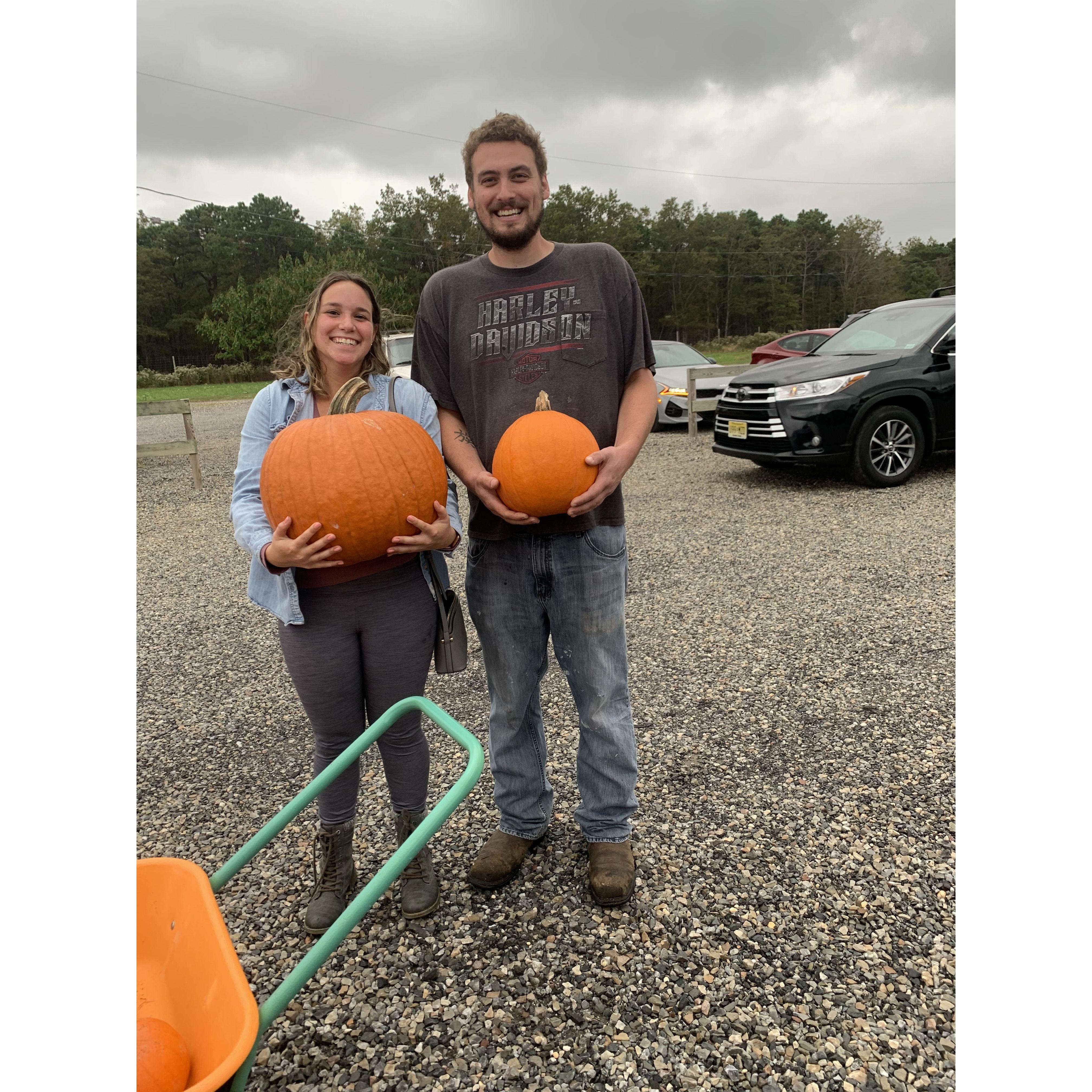 Pumpkin Picking October 2021