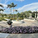 Hollis Garden