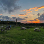 South Hill Cider