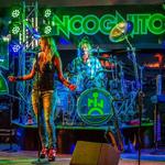 Live Music
