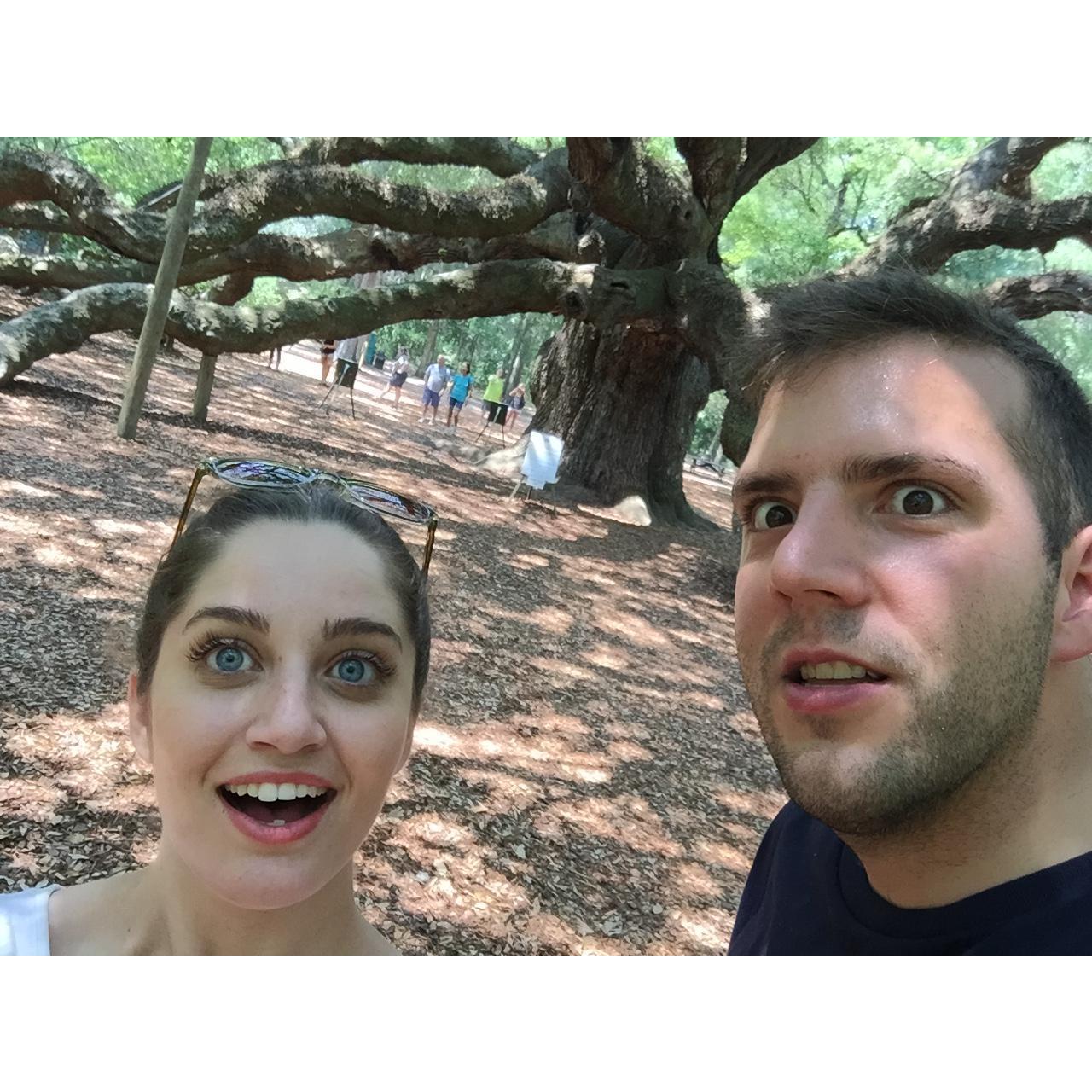 Angel Oak outside of Charleston