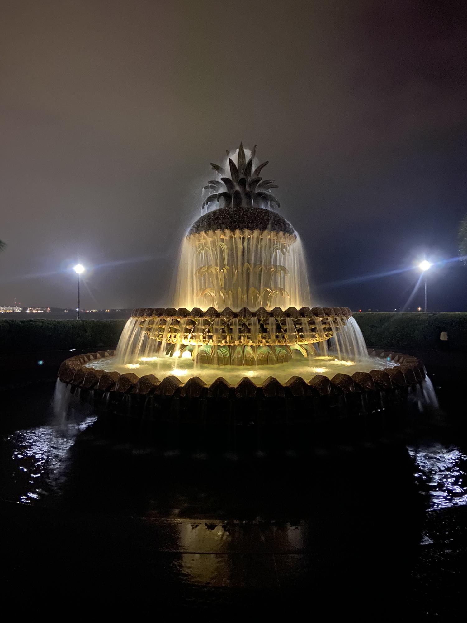 The Pineapple Fountain located in Joe Riley Waterfront Park, Charleston, SC where Michael popped the question!