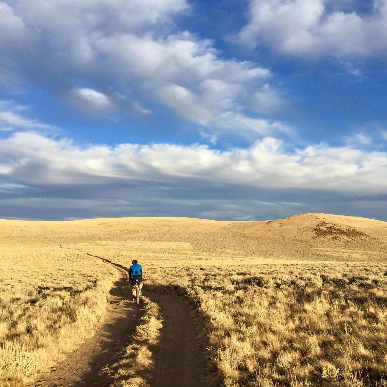 Hart Mountain Skies