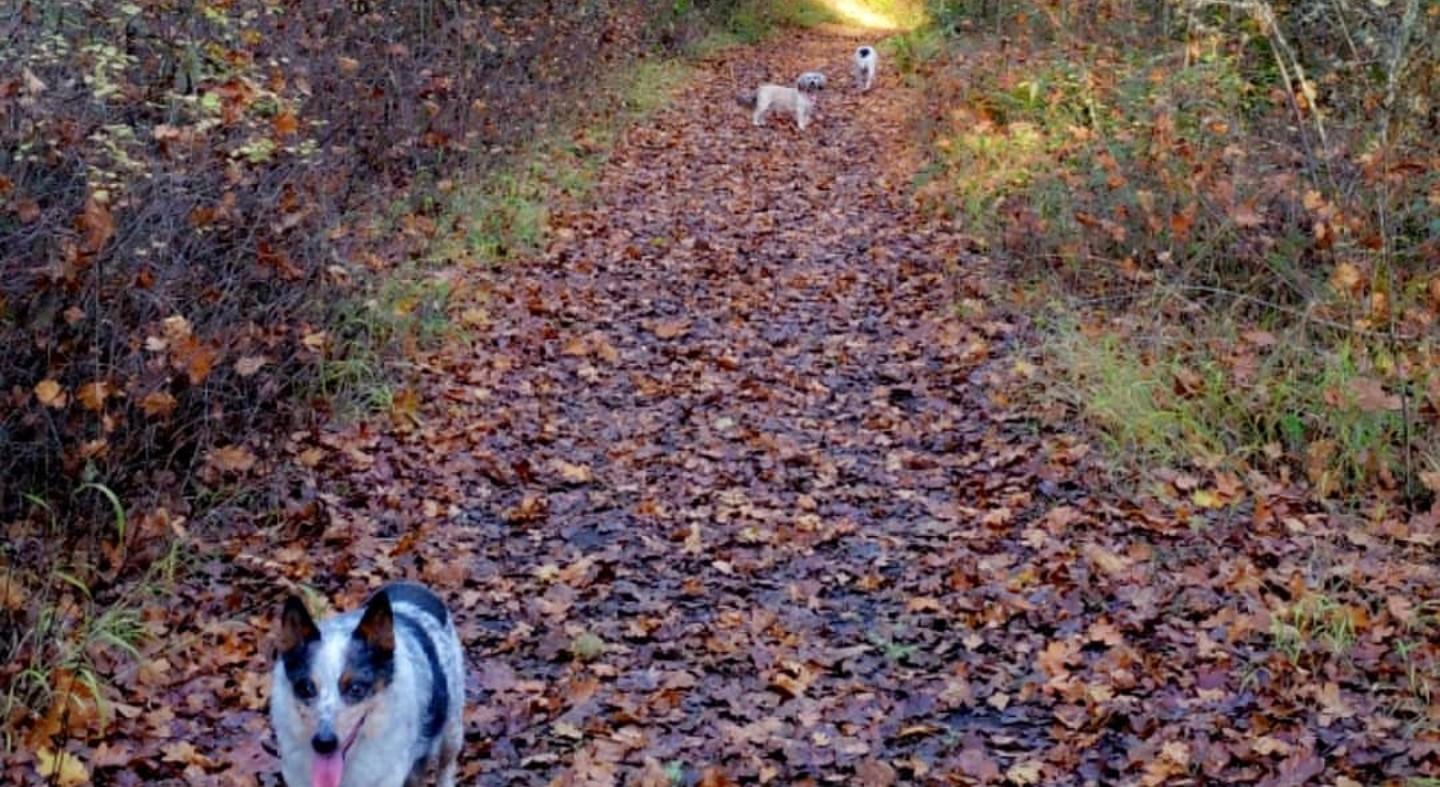 The Wedding Website of Anna Parras and Michael McCusker