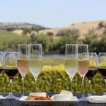 Napa Valley