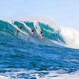 Surf N Sea