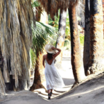 Greater Palm Springs Visitor's Guide