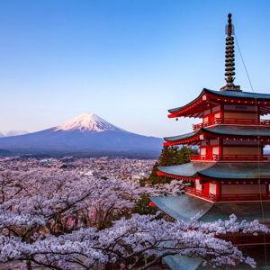 Honeymoon in Japan!