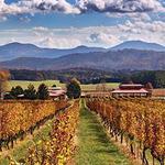 Wineries, Cideries, Breweries, and Distilleries