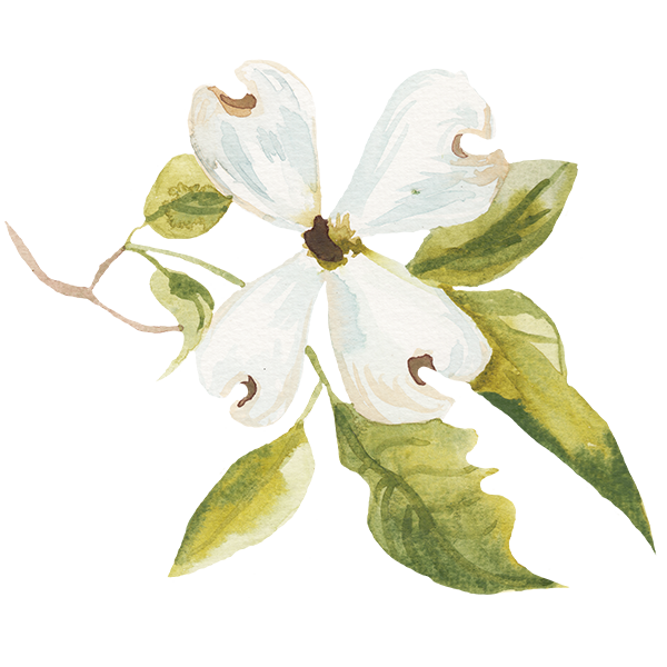 The Wedding Website of Catharine Cain and Ned Bowden