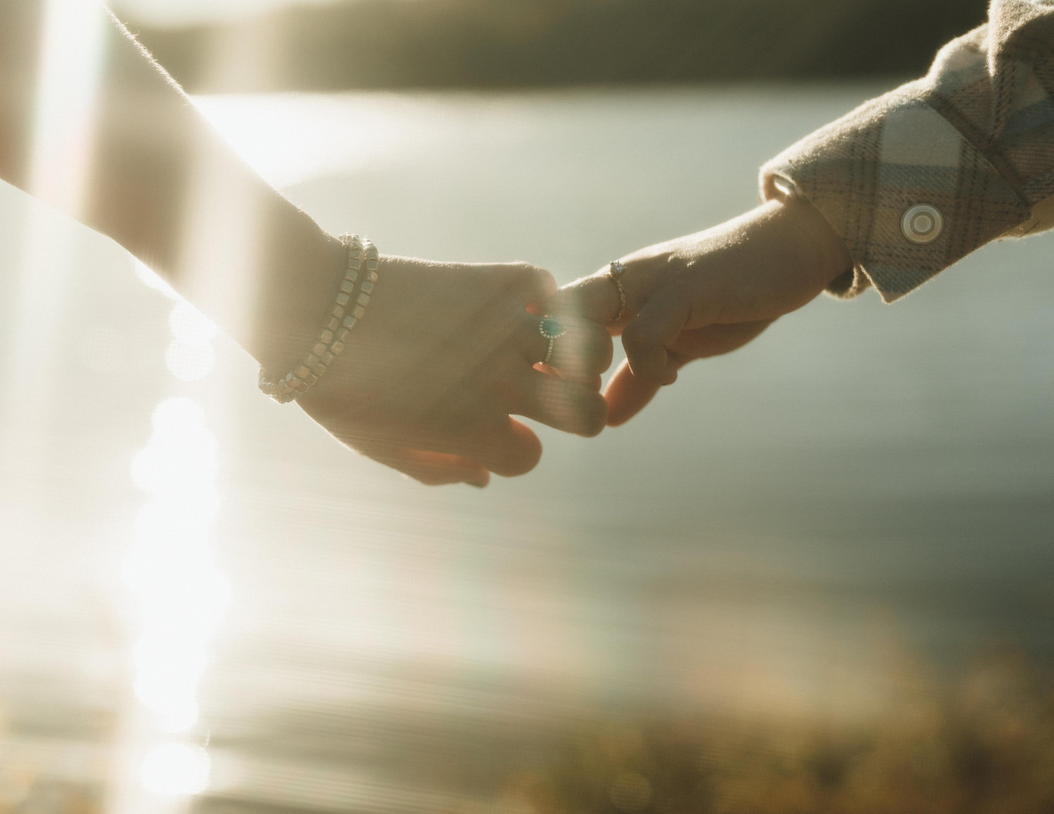 The Wedding Website of Andrea Barreda and Rachel Newburg