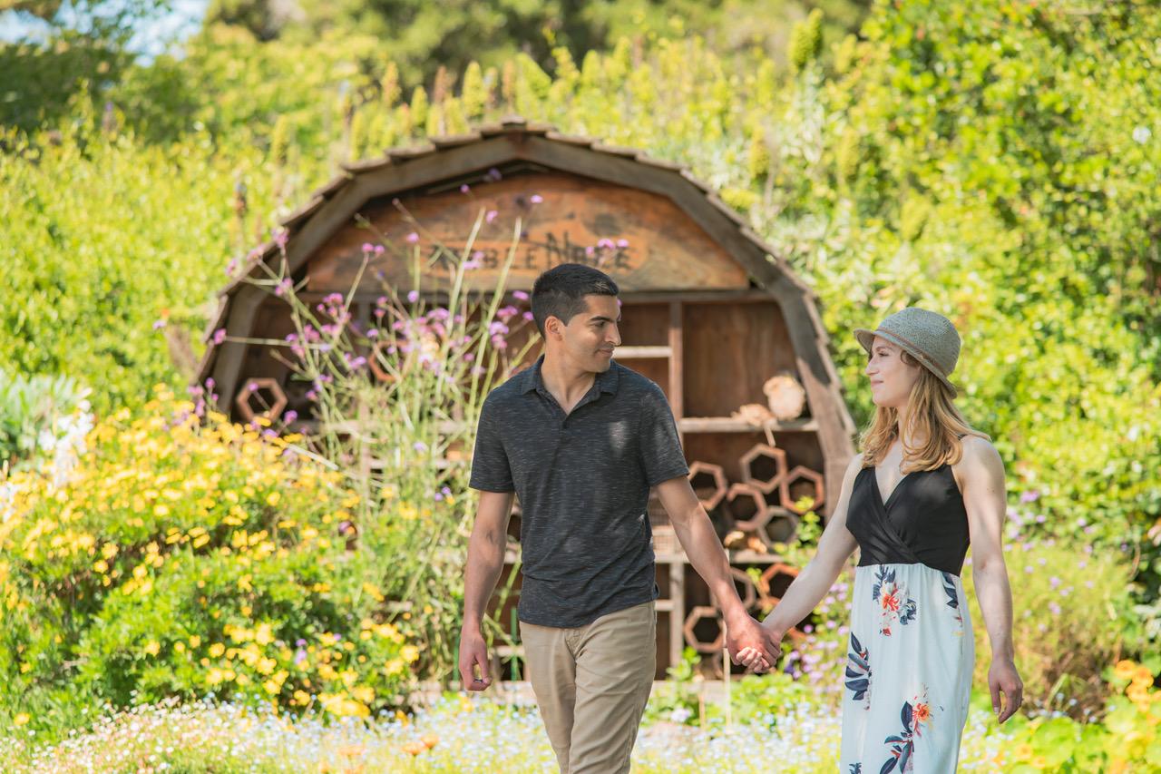 The Wedding Website of Dasha Gilzon and Levon Djenderedjian