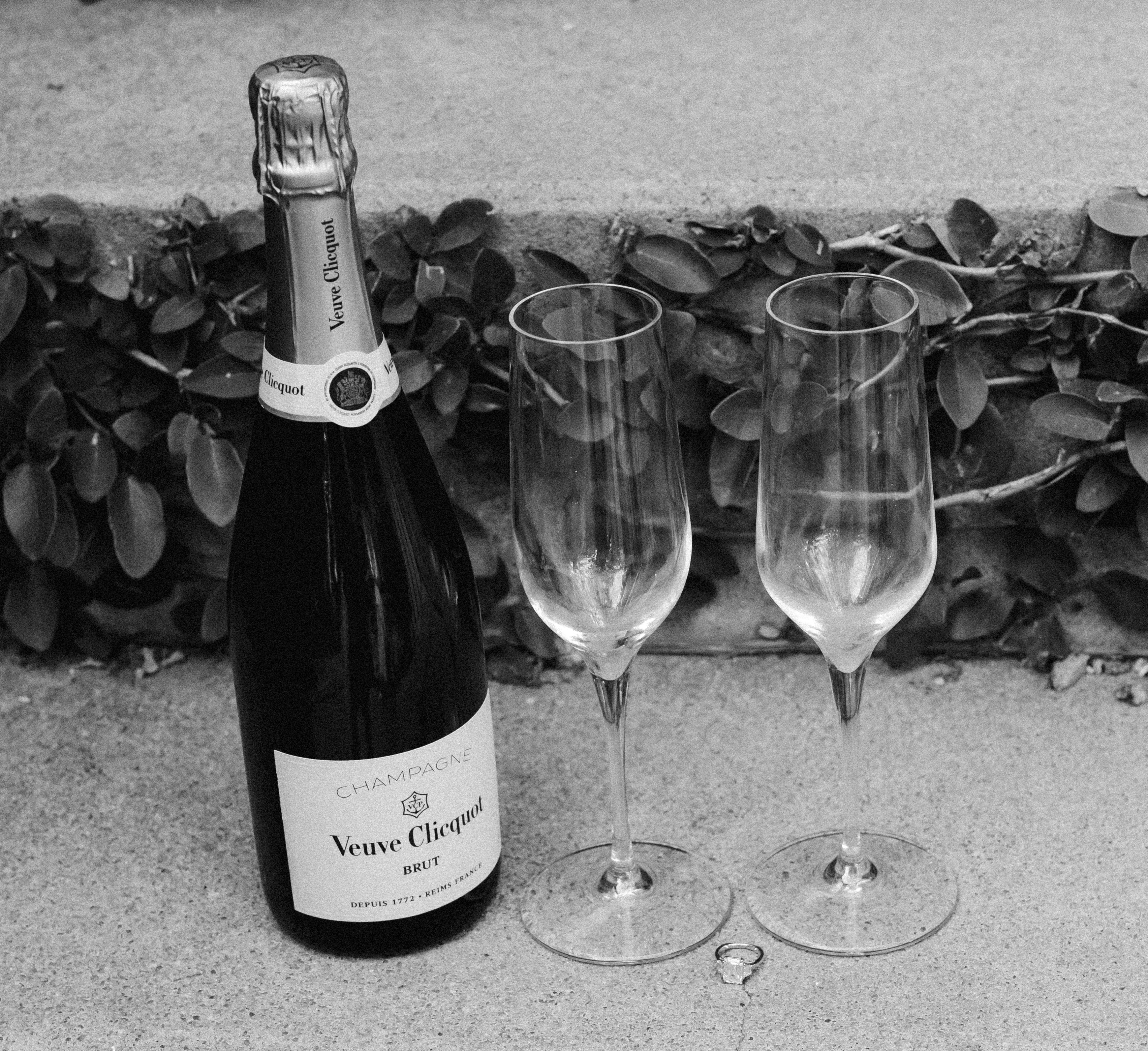 The Wedding Website of Conner Eichhorst and Curtis Weyerhaeuser