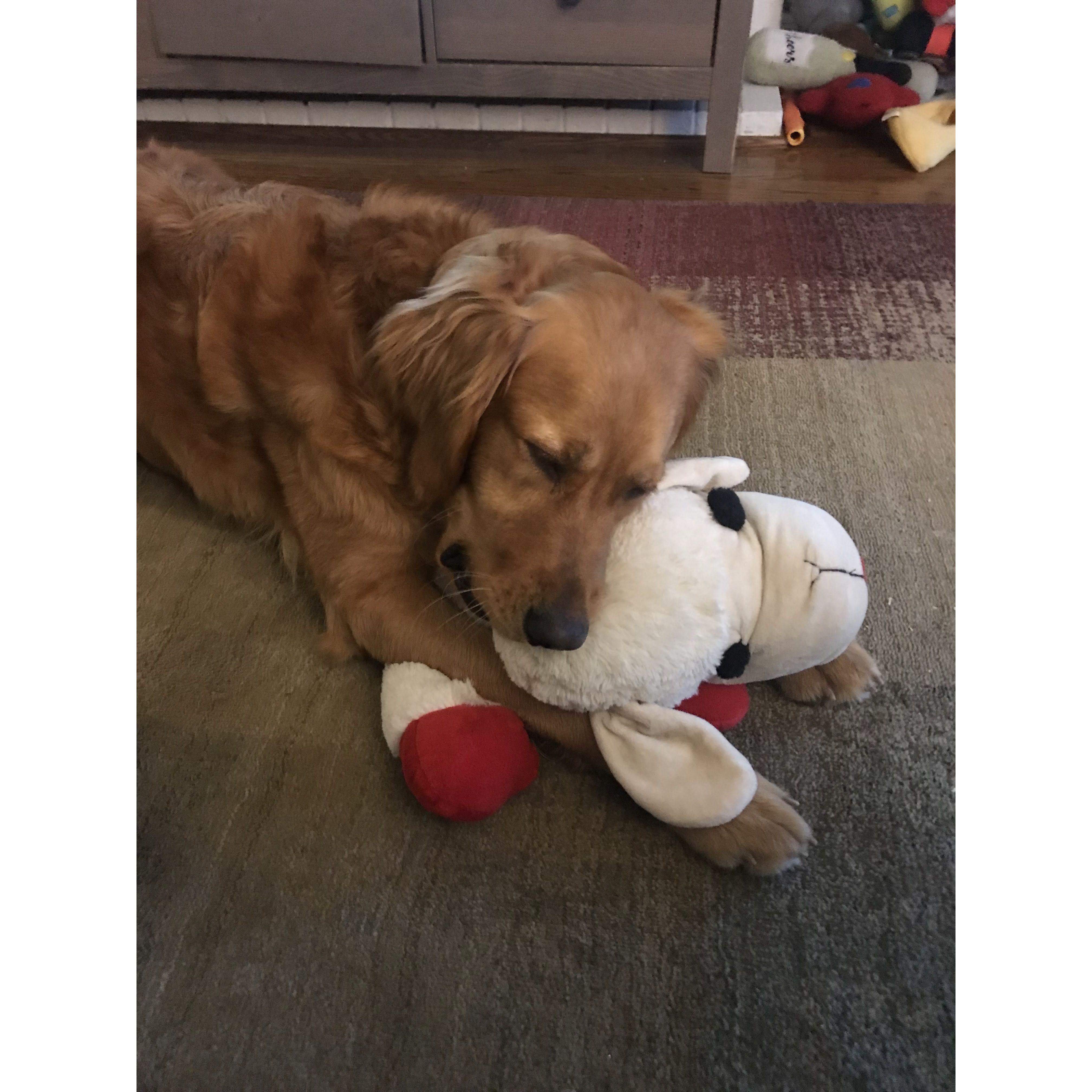 She loves lambie more than us.
