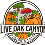 Live Oak Canyon Farm - Pumpkin Patch
