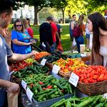 Dane County Farmer's Market
