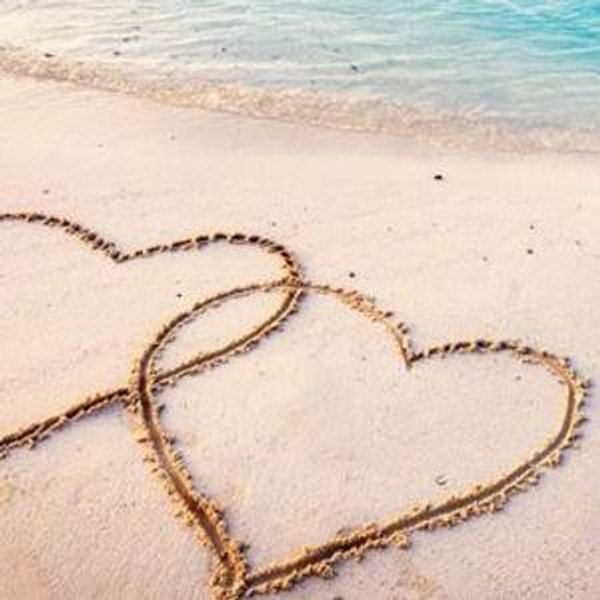 Honeymoon Fund