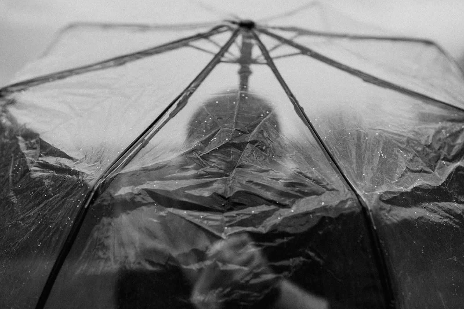 The Wedding Website of Tasha Lewis and Cody Creasey