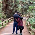 Muir Woods National Monument