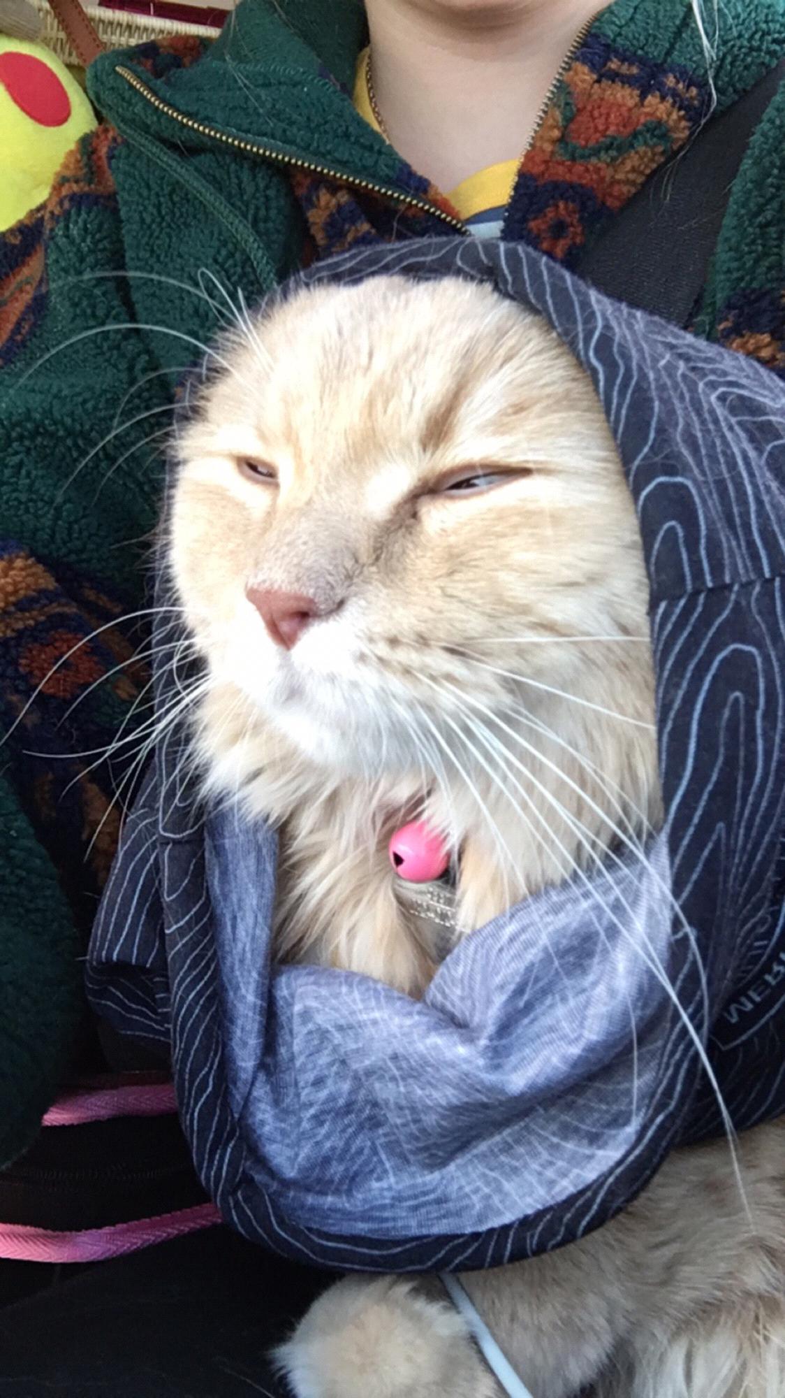 Zen boy on a cold camping trip!