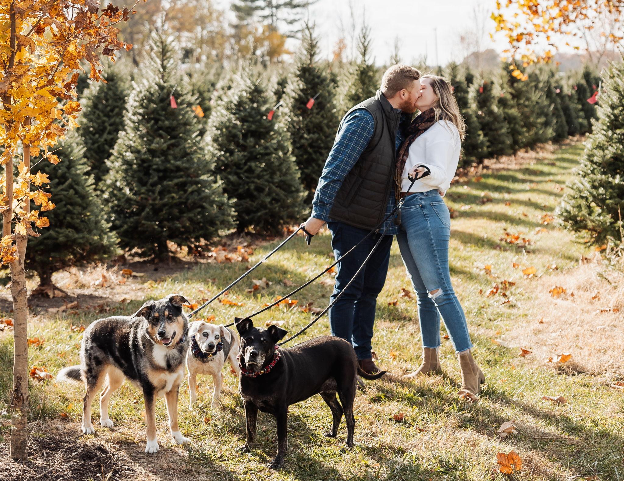 709e93b0-3be7-4cfd-b95e-af71101a6e99