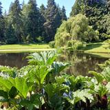 Bloedel Reserve