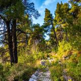 Hiking Skopelos
