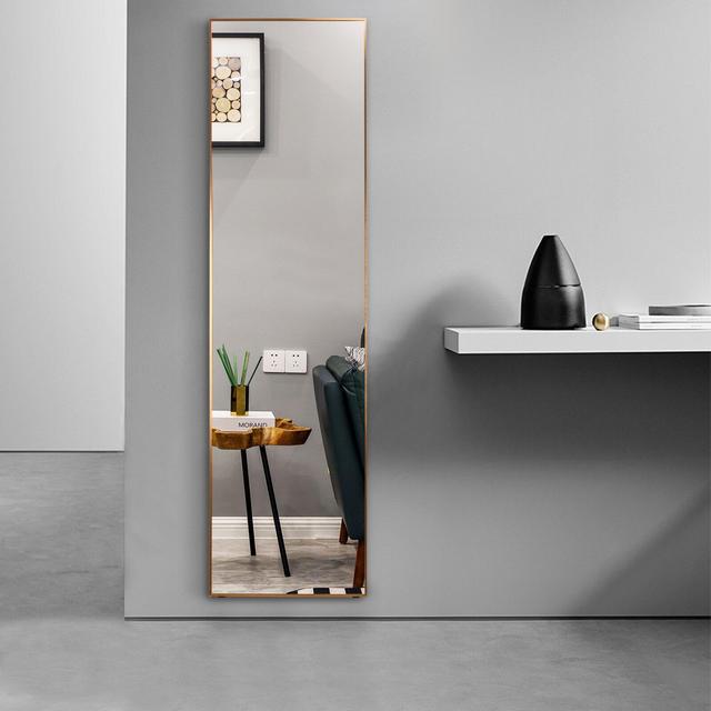 63"X16" Full Length Floor Mirror(Black)