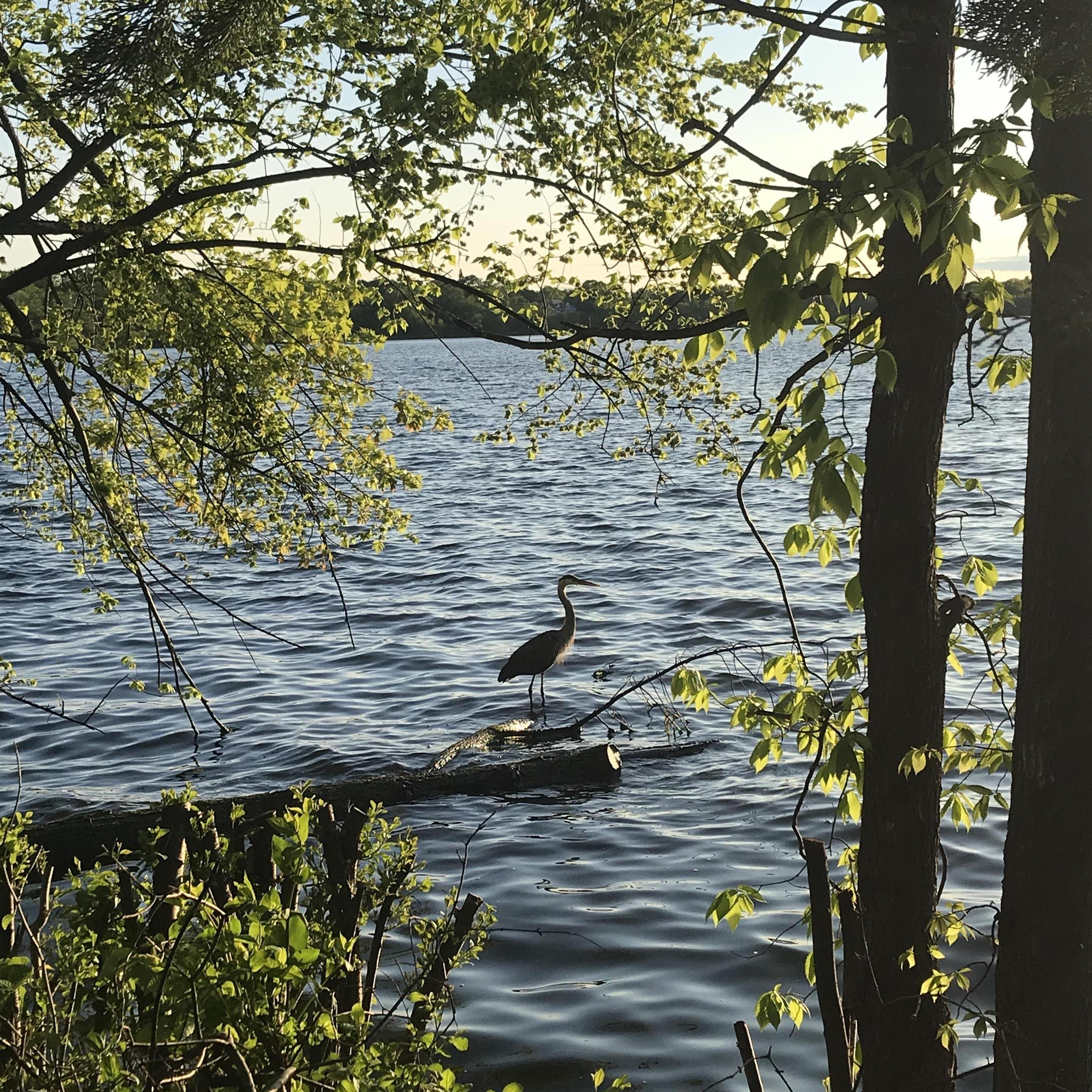 Some of our favorite memories are those we make along lake Harriet