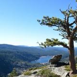 Pinecrest Lookout