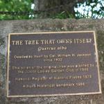 Tree That Owns Itself