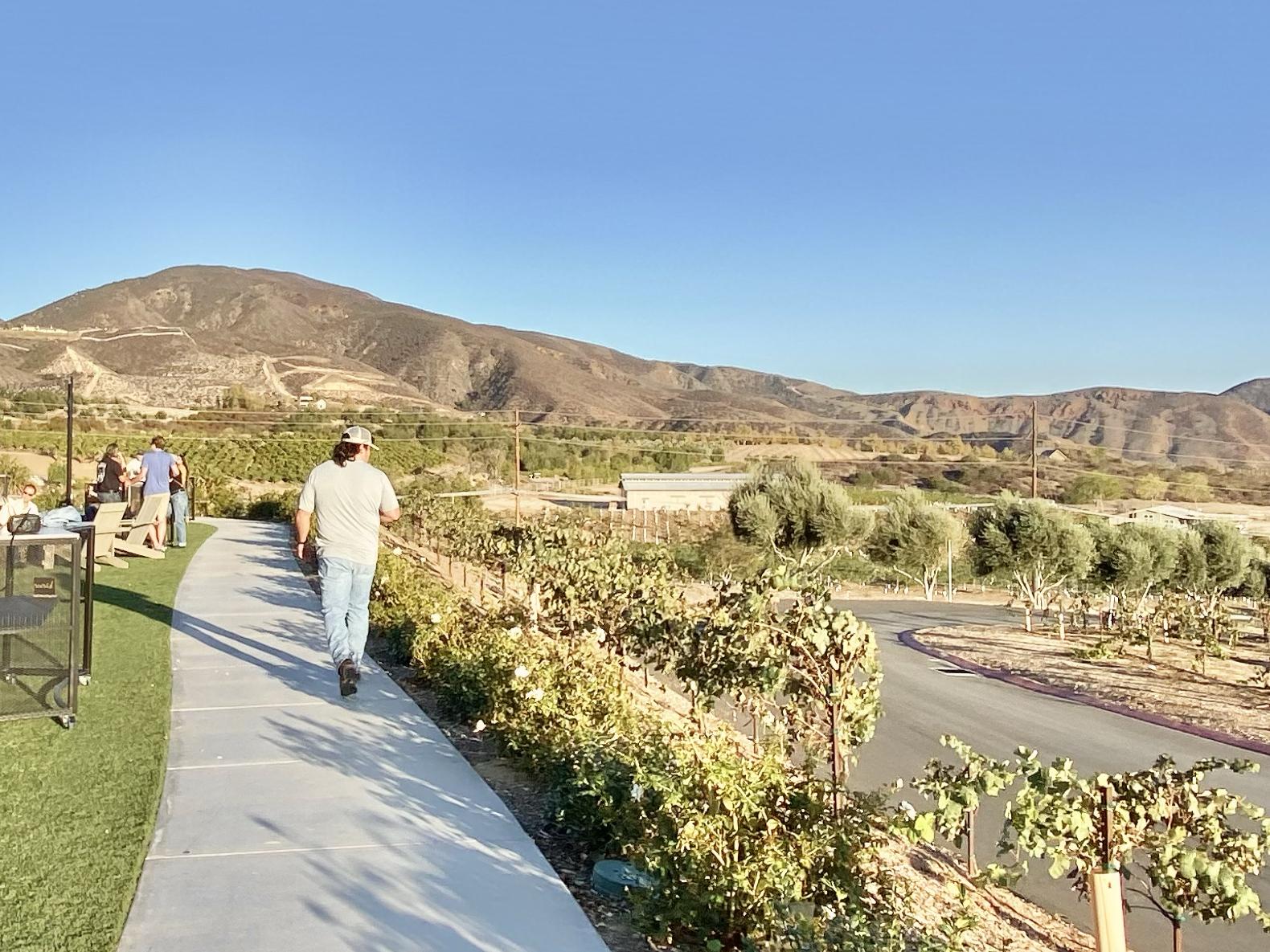 The Wedding Website of Saffron Snethen and Tyler Feniello