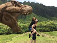 Kualoa Ranch Tours