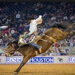 Houston Rodeo